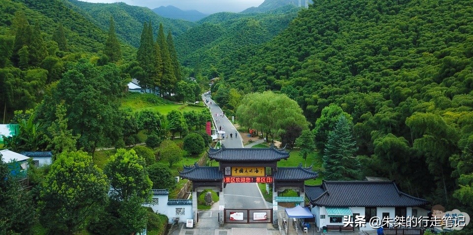 安吉哪里的竹最好,安吉的竹子