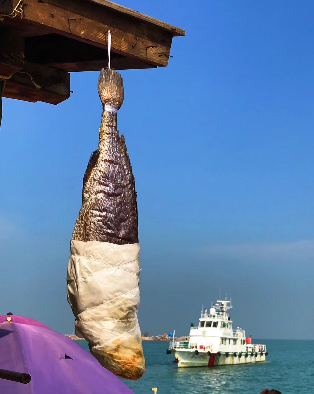 鐝犳捣妗傚北宀涙皯瀹夸环鏍艰〃,鐝犳捣娴峰矝娓告灞卞矝