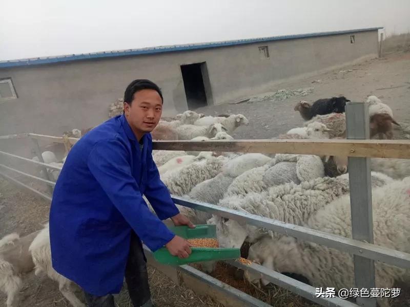 大学生李梦杰的创业记!第一集(原创)