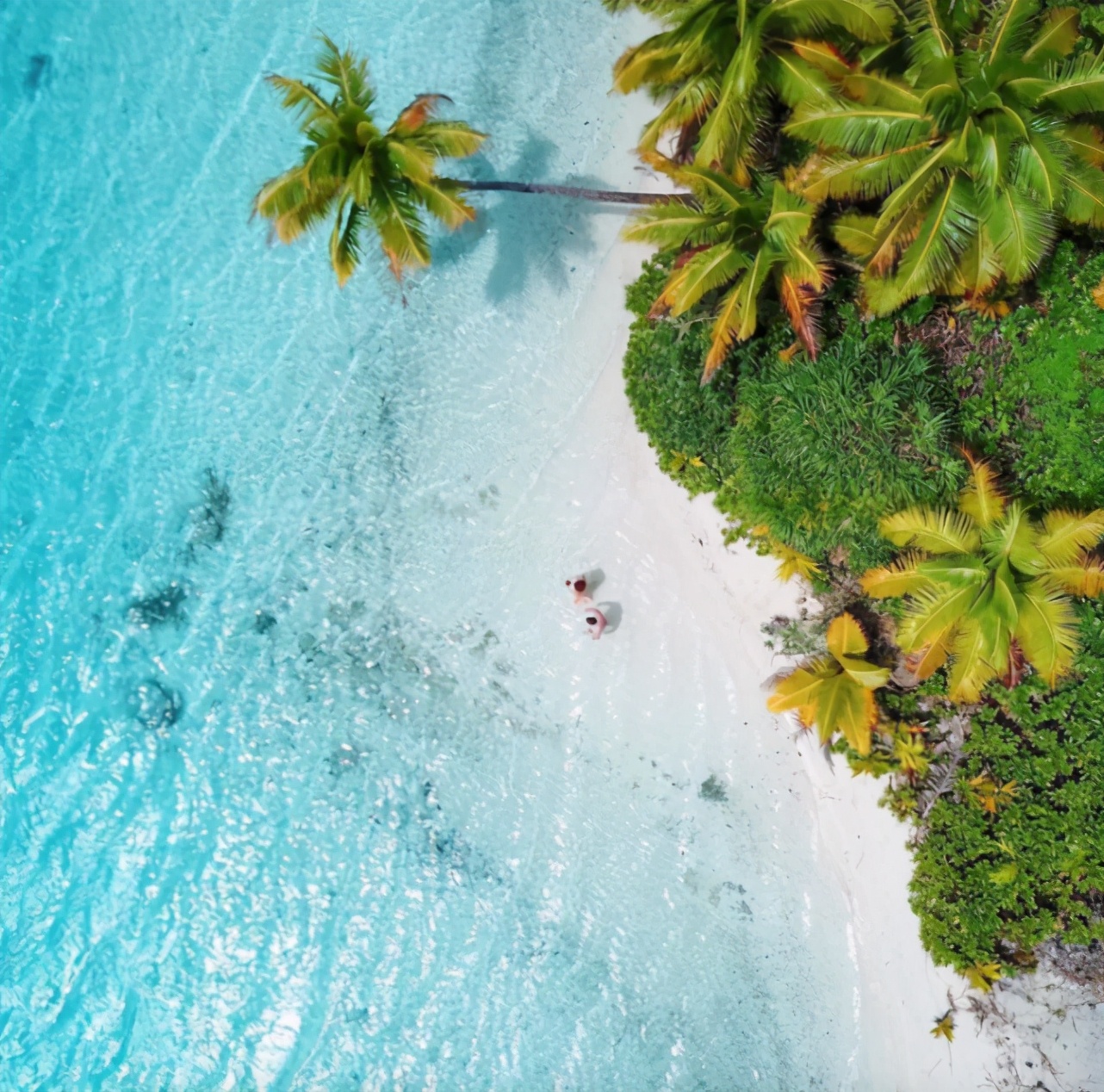 世界海岛扛旗者！夏日浪漫它们最懂
