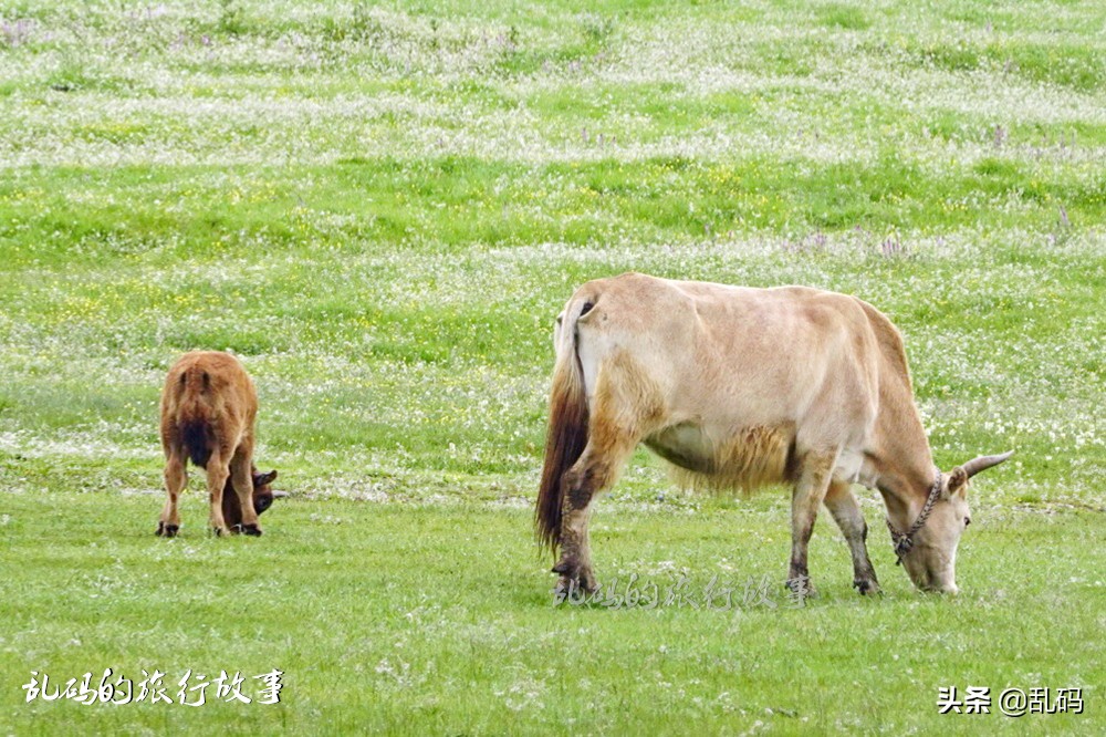 甘肃最美的十大古村落,甘肃最美的古村落