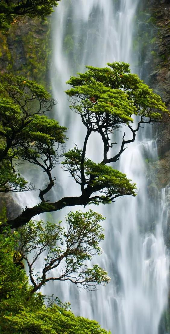 中国二胡十大经典名曲,二胡最好听十大名曲