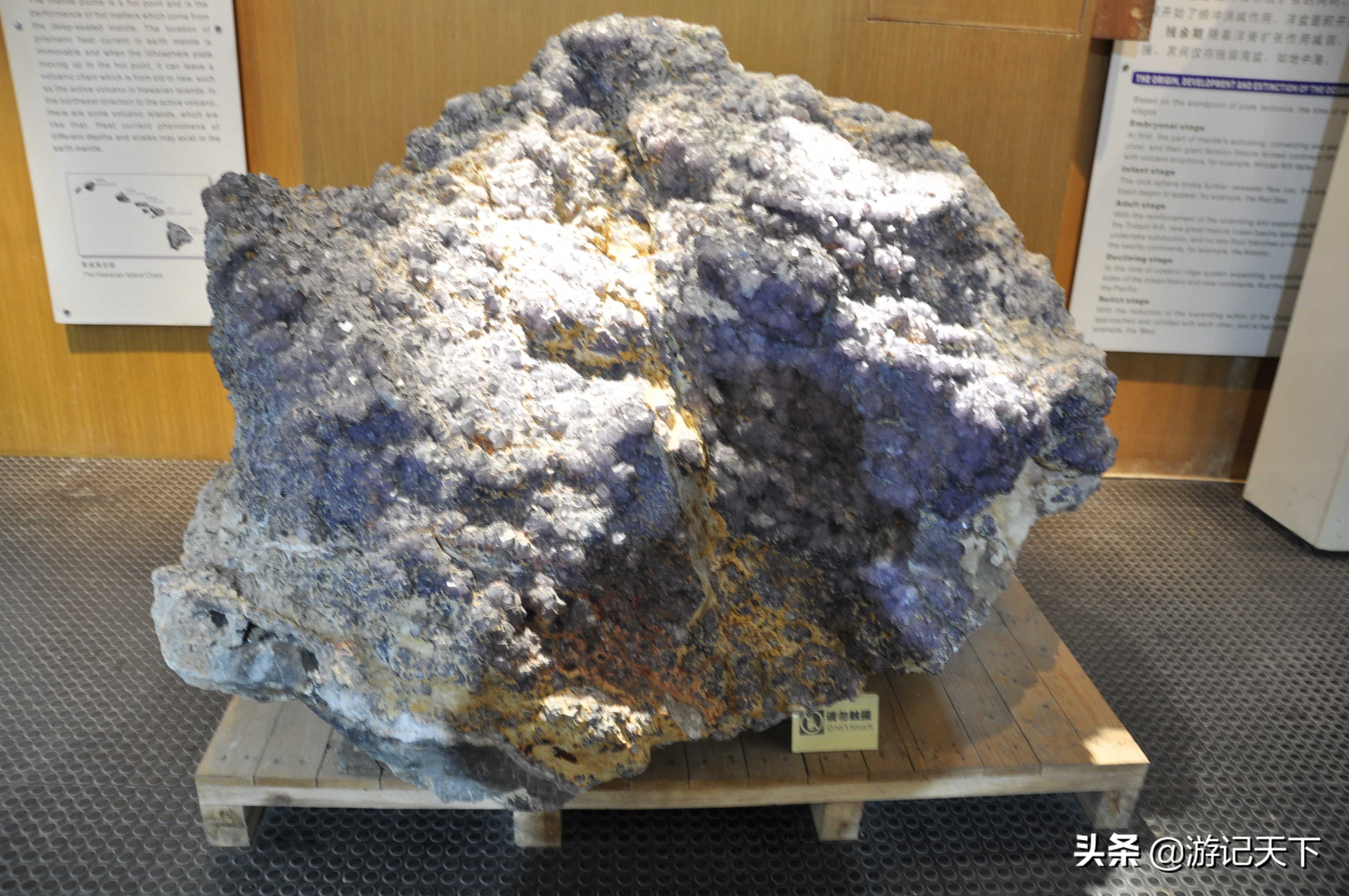 阿尼亚参观博物馆,上海地质科普馆游玩