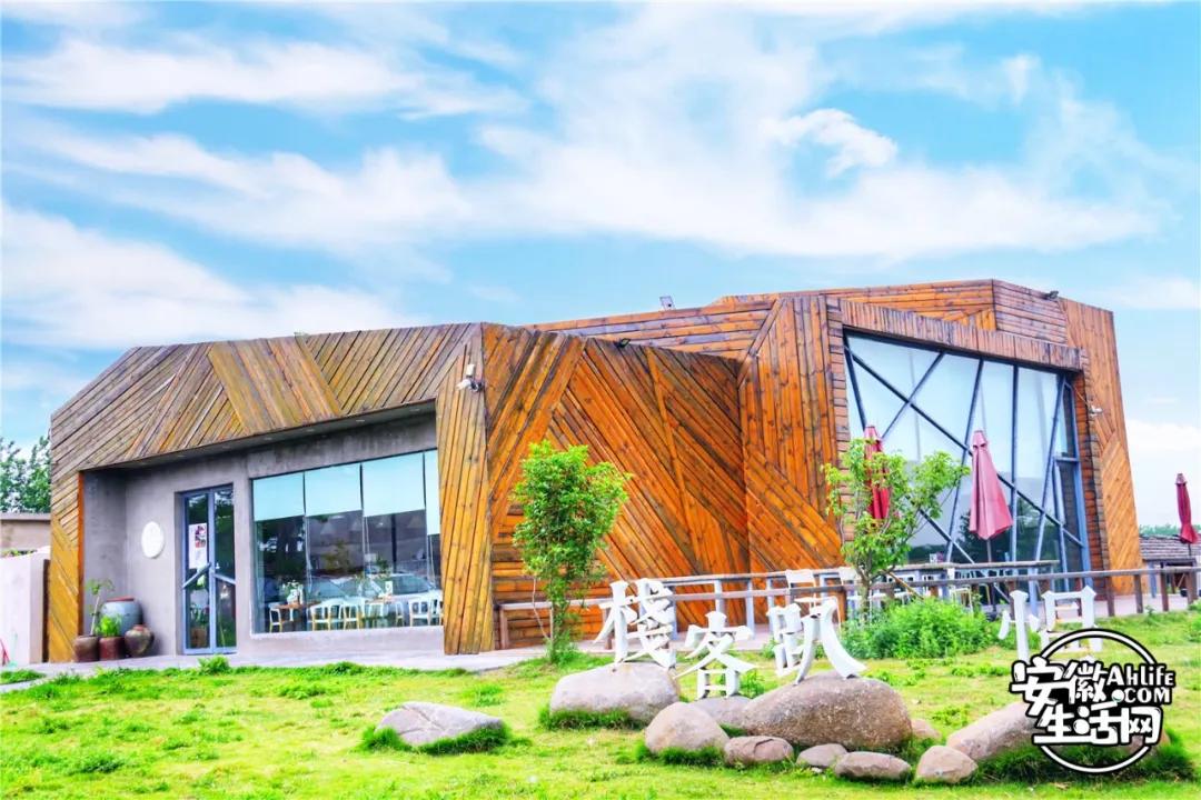 合肥最美的春天景点,合肥春天有哪些好玩的景点