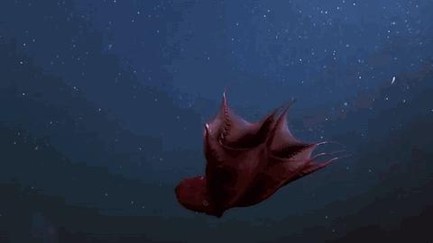 史前深海十大恐怖生物,深海底下的恐怖生物