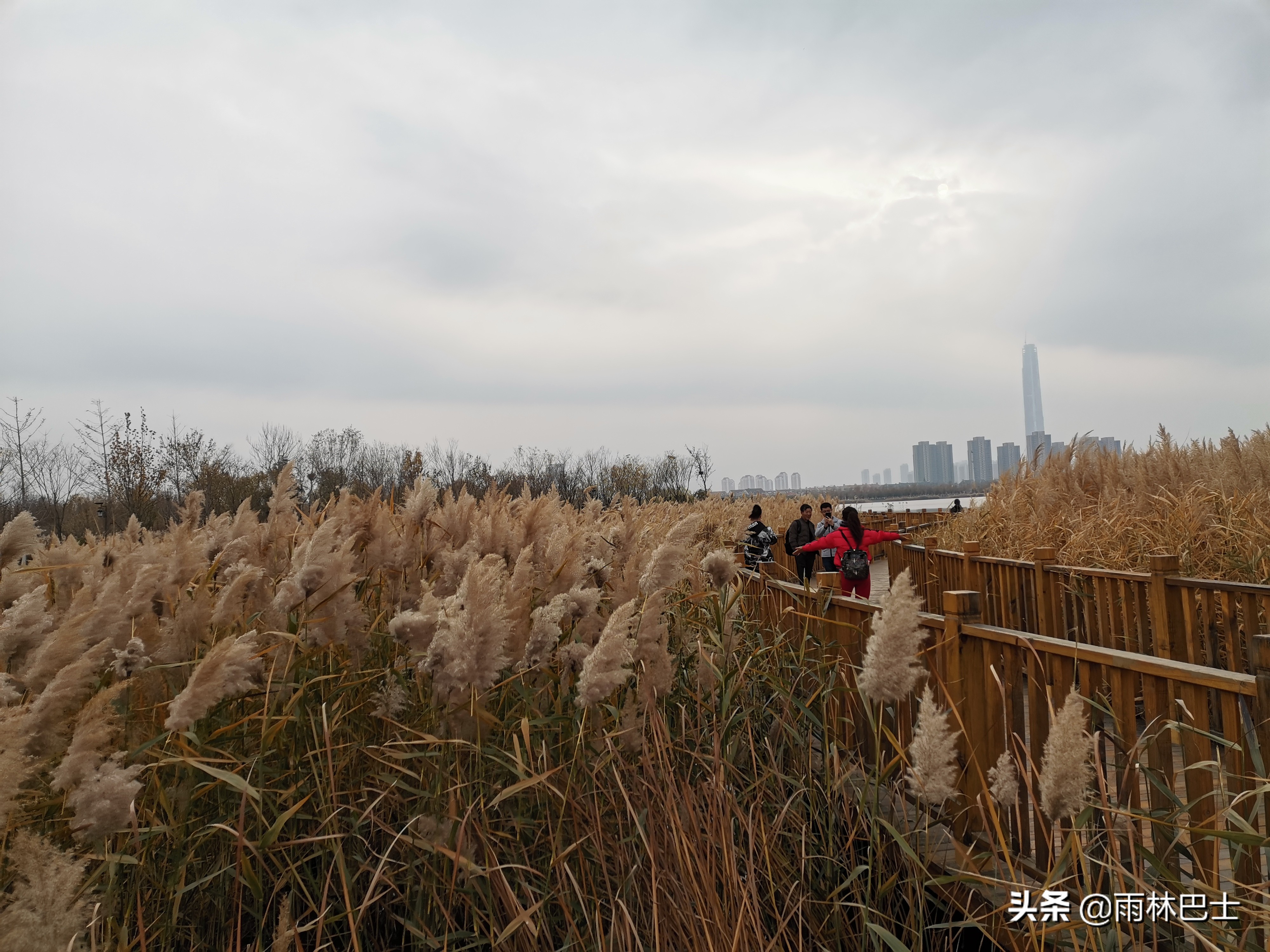 水西公园游览示意图,黔西县水西公园