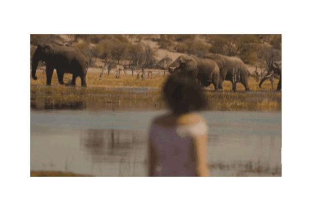 开开木门整装设计,开开木门和御品天成哪个好