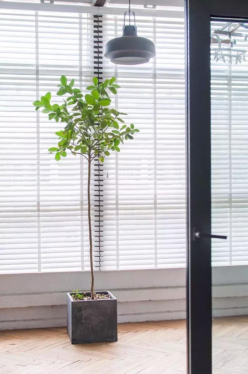 最有质感的家欢迎借鉴,打造浪漫有格调的家