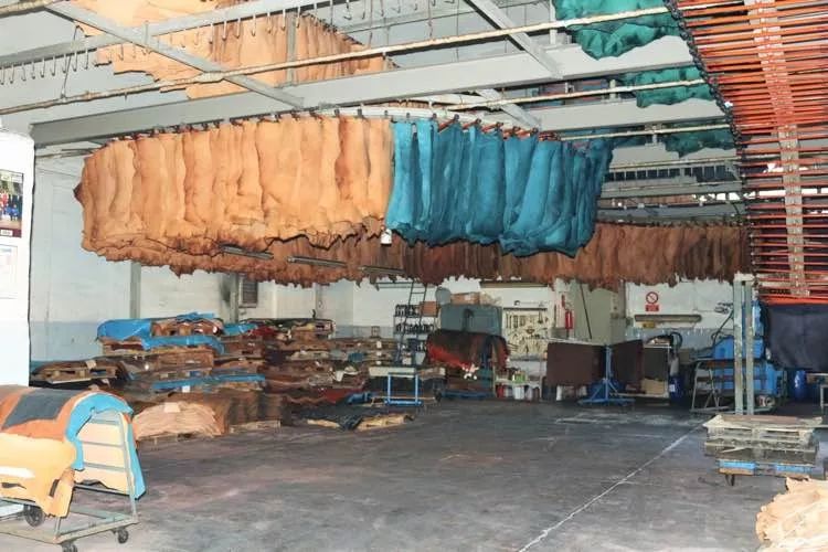 皮革的基础知识和分类,皮革的分类区分