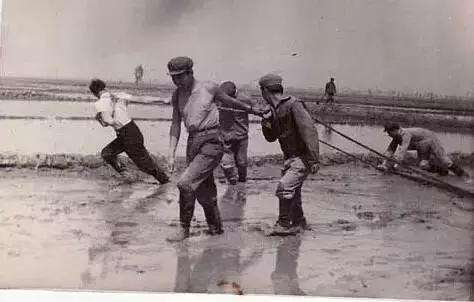 知青回忆——风雪牯牛山（二）