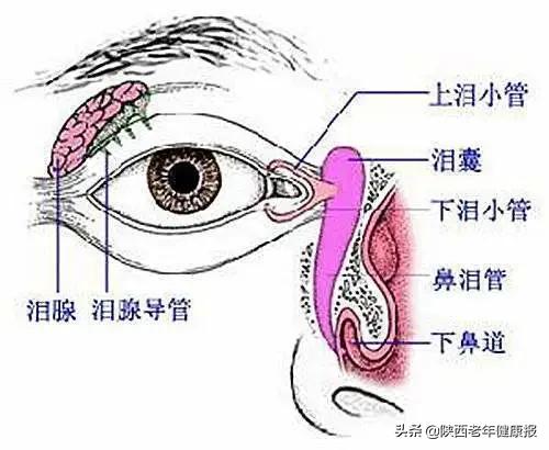 宝宝视力检查异常是什么意思,宝宝眼睛的异常现象