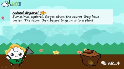 植物是怎么传播种子的二年级上册,植物传播种子方法有哪些举例说明