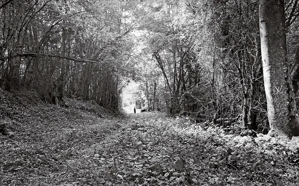 路易威登200到500,路易威登20年男士