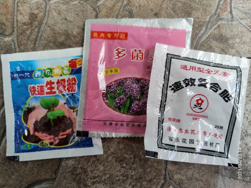 蓝莓花期浇水的最佳时间,蓝莓盆栽浇水的正确方法