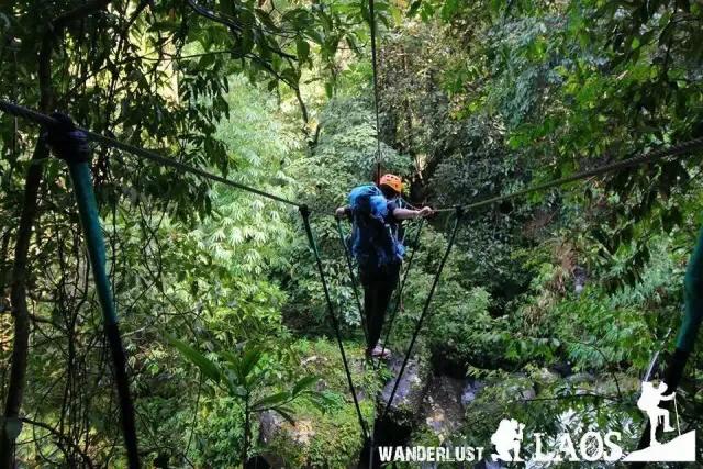 老挝咖啡介绍,最火爆的老挝咖啡