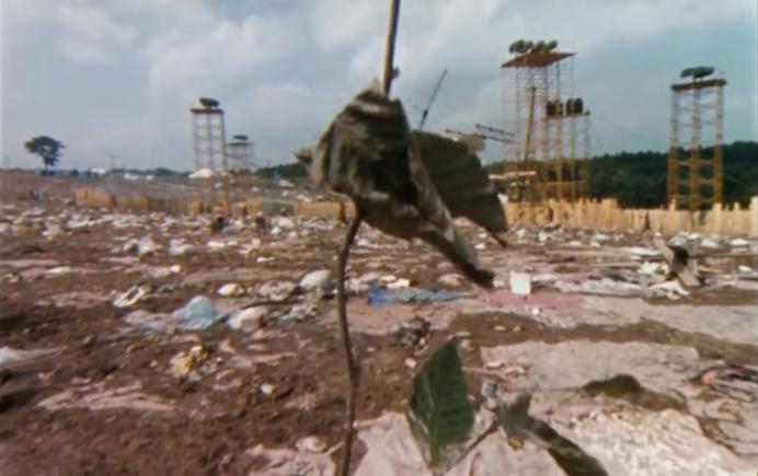 姓麻,伍德斯托克99摇滚音乐节