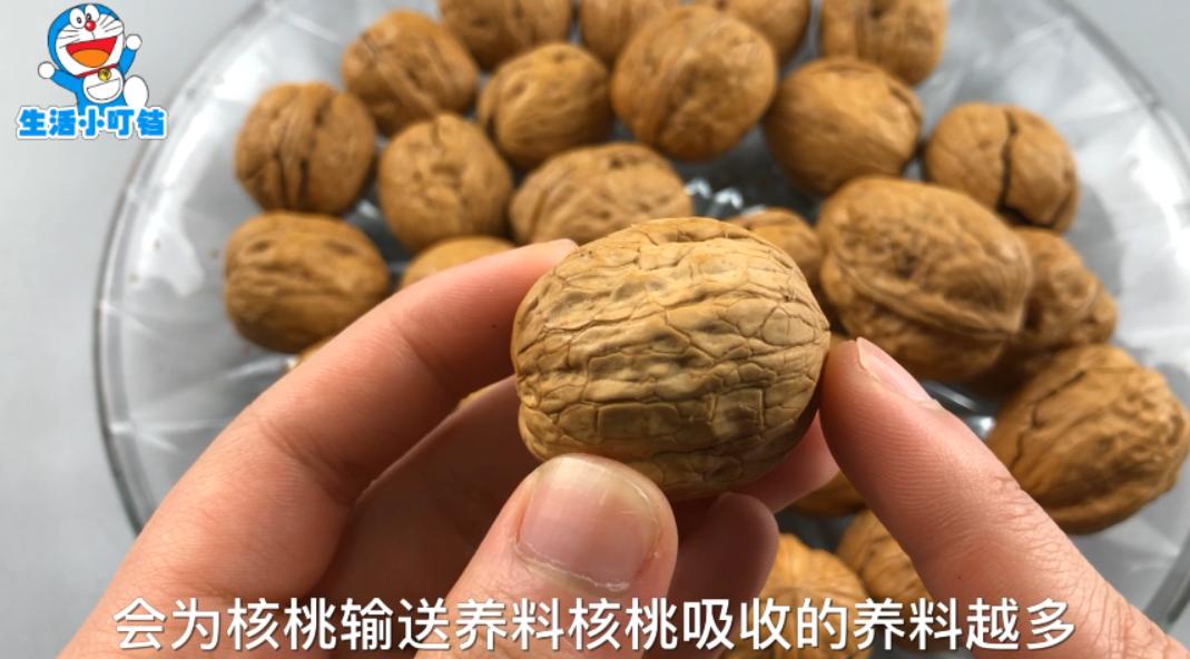 挑选核桃的诀窍,怎样挑选核桃才是好的