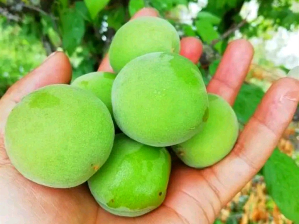 怎么制作杨梅酒好喝,如何做酸甜可口的杨梅酒