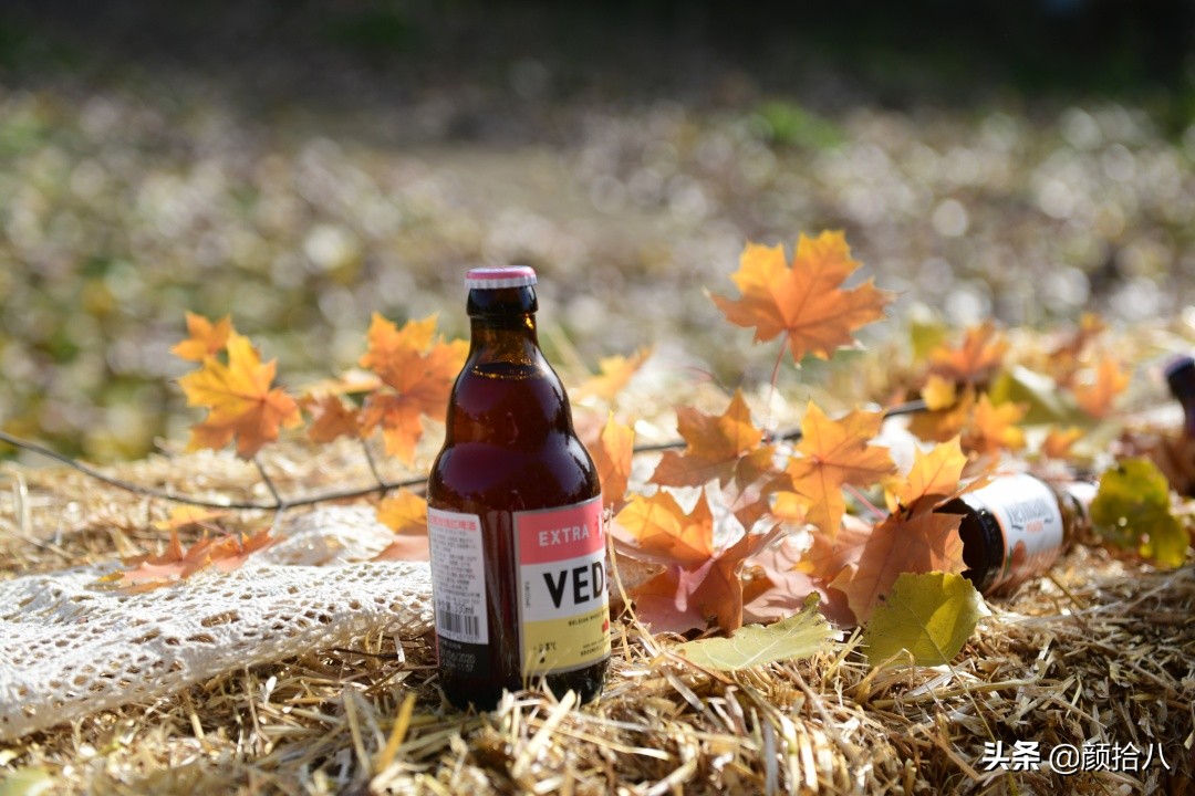 没有比利时花园游,来点比利时啤酒吧|随笔