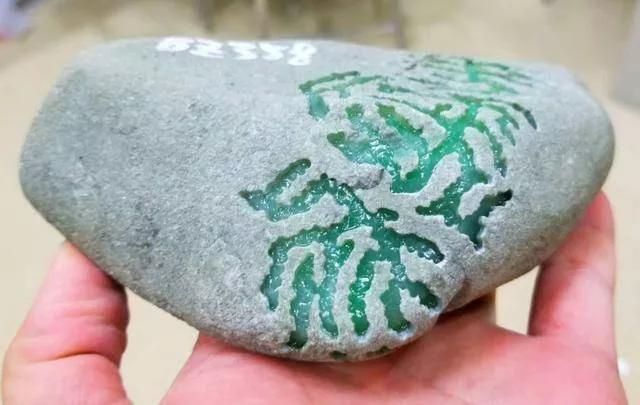 缅甸老场口大洛基翡翠原石,缅甸翡翠原石真假鉴别方法