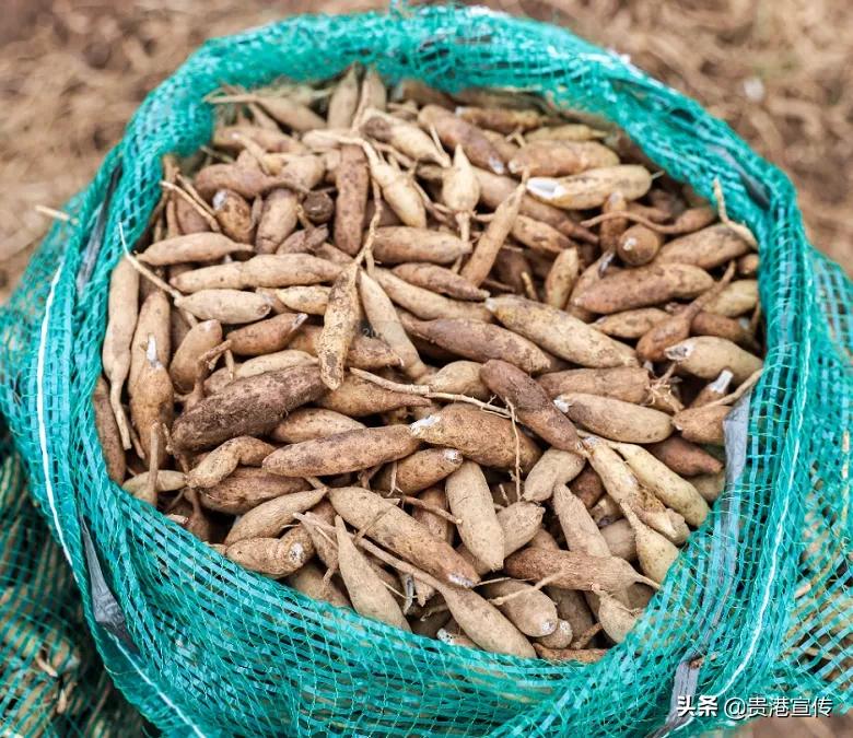 贵港十大旅游村,贵港古镇古村落有哪些景点