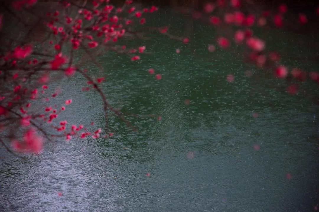 烟雨深处人家,烟雨深处的情怀