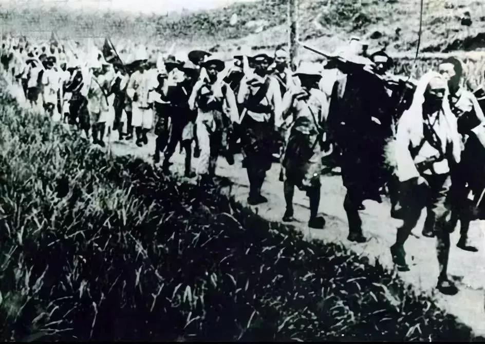 *产党共**为什么选择毛*东泽**