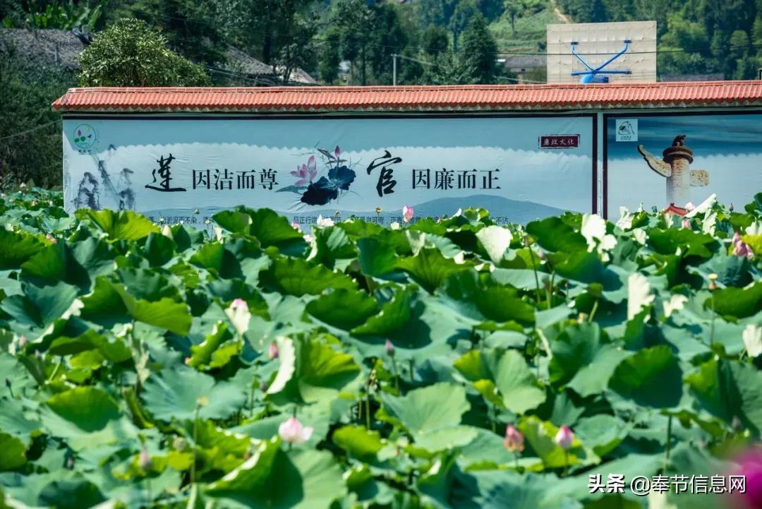 广西玉林市竹园村网红景点打卡,打卡竹园村