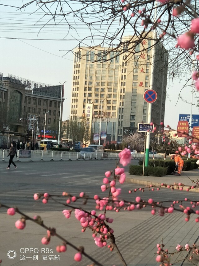 王记羊杂碎,李记羊杂碎