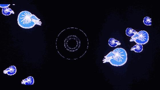 深圳市贰麻酒馆,深圳市贰麻酒馆餐饮管理有限公司