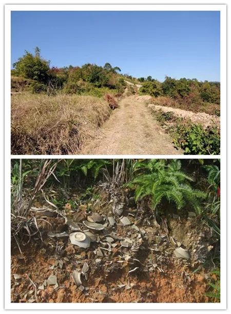 瓯窑遗址分布,苍南古遗址