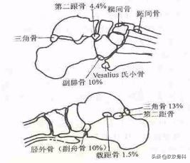 陈旧性踝关节损伤的治疗,踝关节损伤现场处理视频
