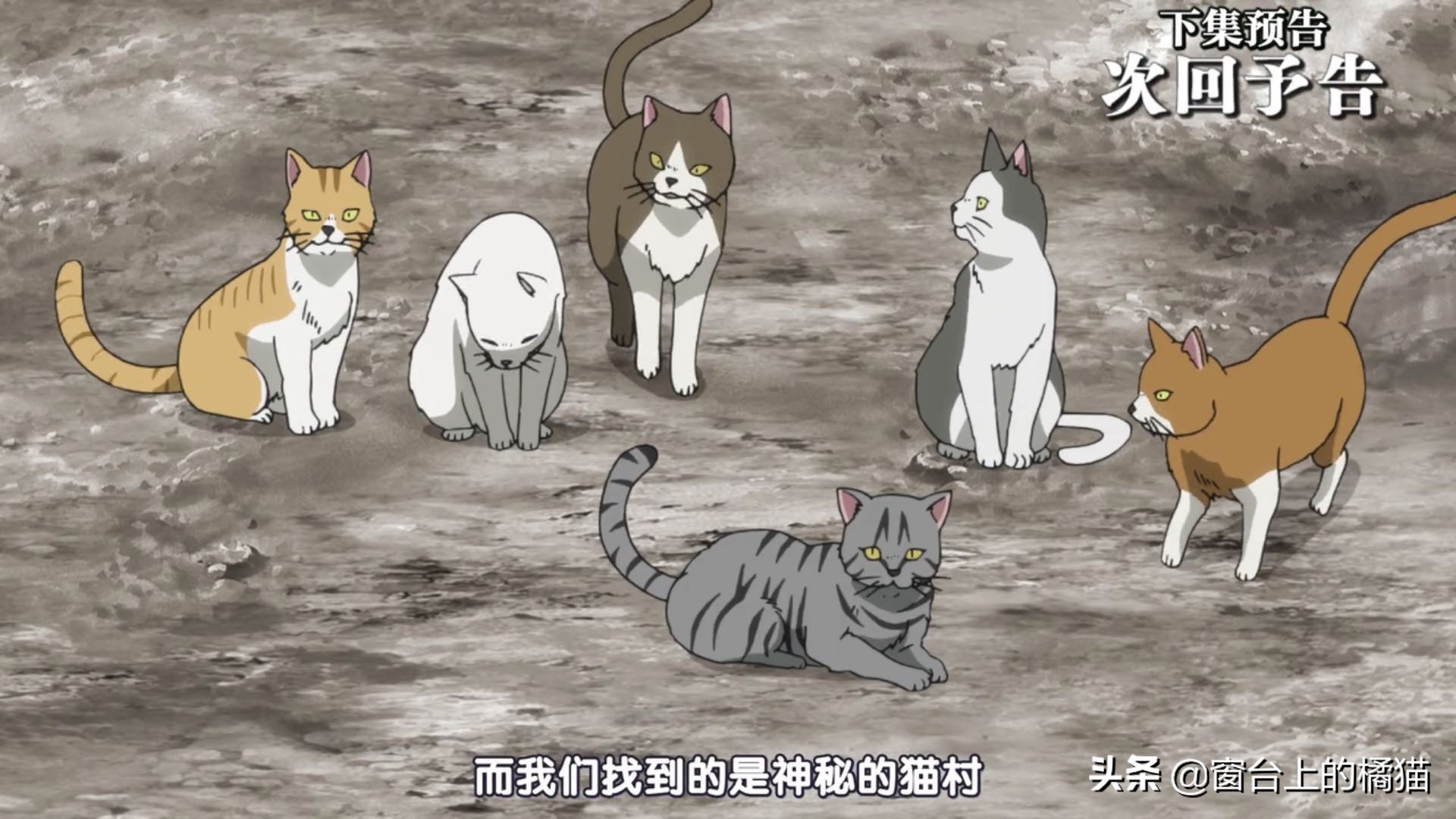 犬夜叉半妖的夜叉姬剧情介绍,犬夜叉后传大结局