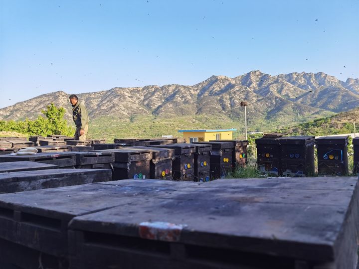 原生态蜂蜜是什么味道,蜂蜜纯天然正宗蜂蜜是什么样