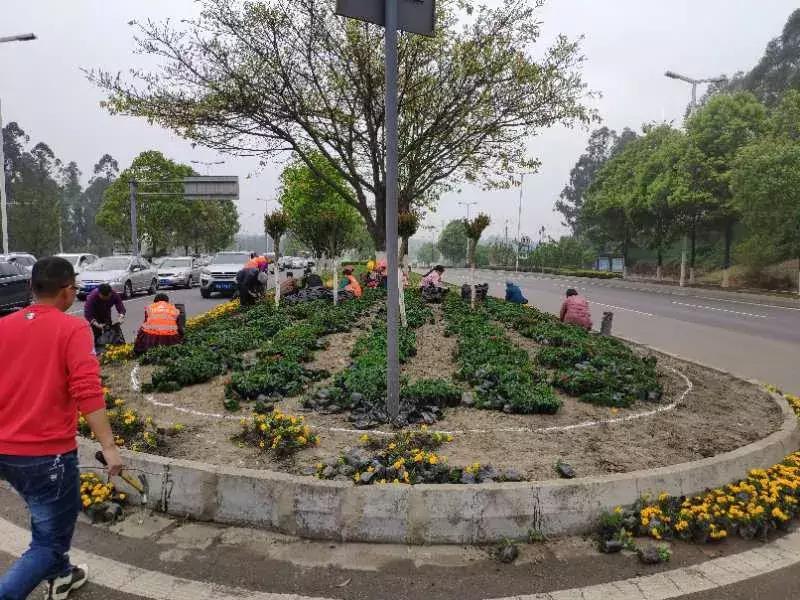 双流区绿化景观,双流县景观花园设计