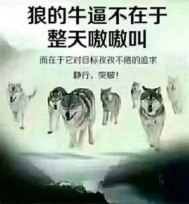 大连三鼎春天视频,大连三鼎春天怎么样