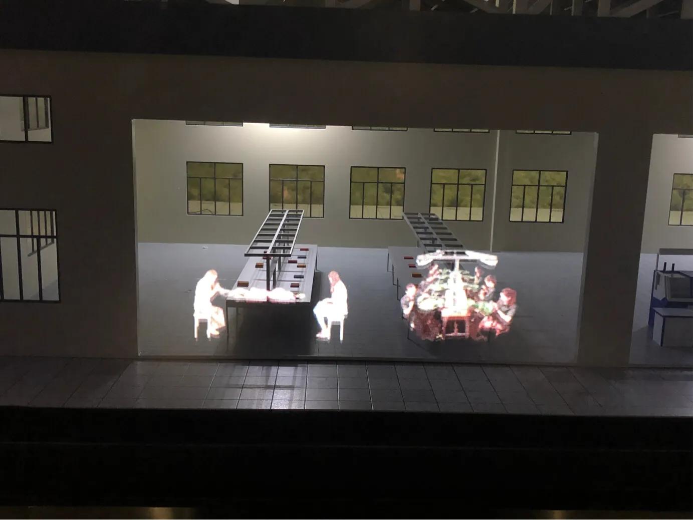 羊绒制品起源,中国羊绒历史简介