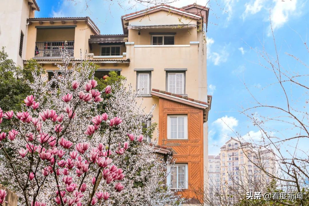 龙湖第四代城市洋房,龙湖第四代洋房户型