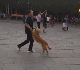 最奇葩的小区是什么样的,奇葩小区都有哪些