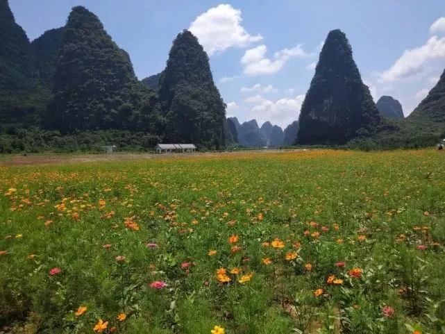 百里山水画廊深度,百里画廊风景如画心旷神怡