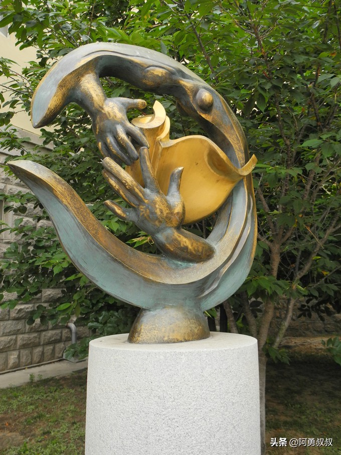 青岛二中2019高考成绩,经验分享大学专业