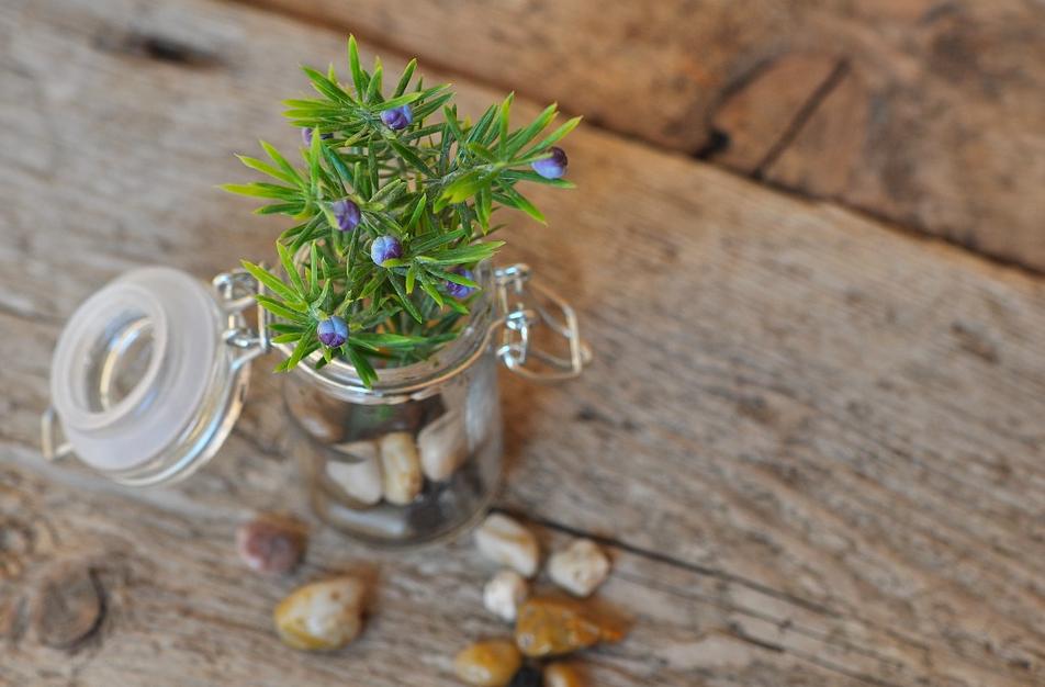 农场怎么装饰好看,农场怎样布置省钱