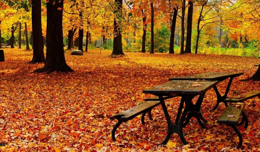 濡堝鐨勭溂鐫涘湪鍝噷,濡堝鐨勭溂闀滀笉瑙佷簡