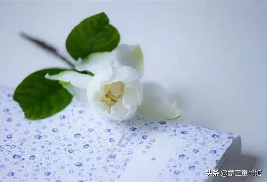 刁问妙答（绝妙！）