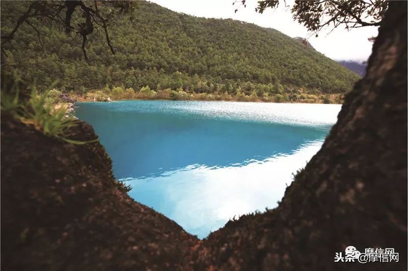 刘智远：摩托江湖的行者