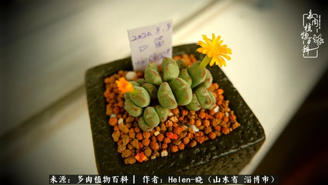 人到中年温暖如初,人到中年岁月静好