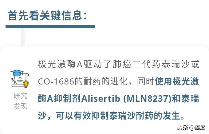 抗肿瘤靶向药物egfr,egfr靶向药物易瑞沙