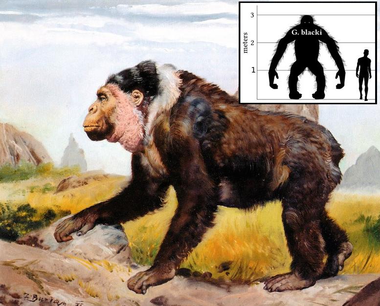 历史上真有巨人族吗,中国古代巨人史