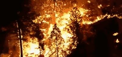 一九八七大火灾原因,回望火灾