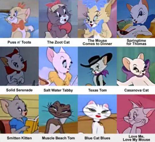 小时候看不懂猫和老鼠的故事,小时候看猫和老鼠动画片